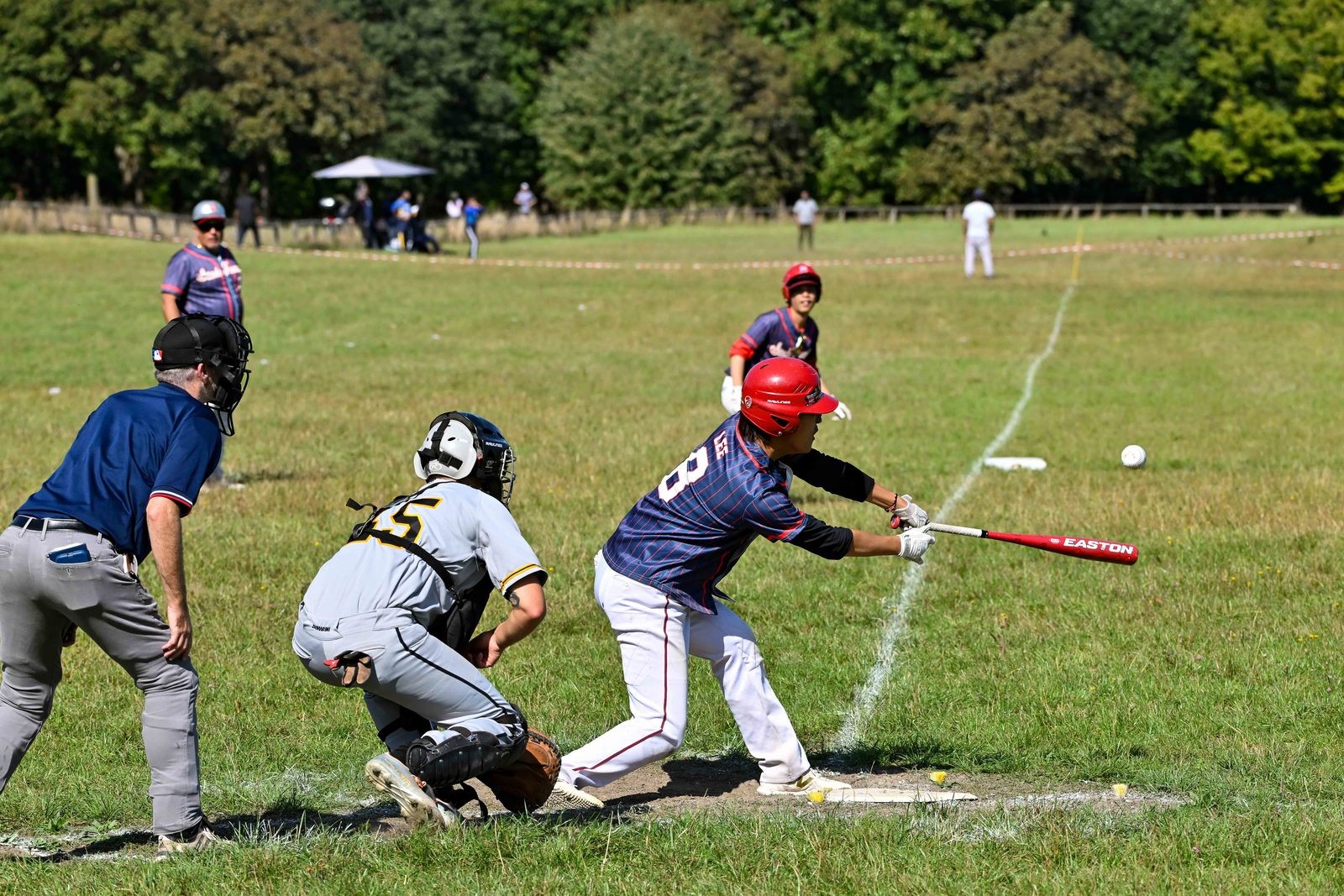photo baseball