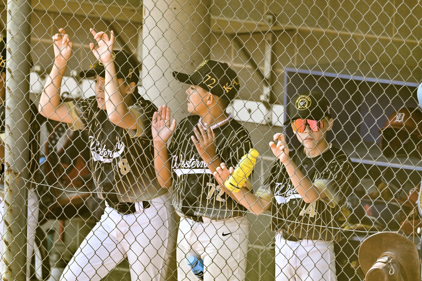 photo baseball